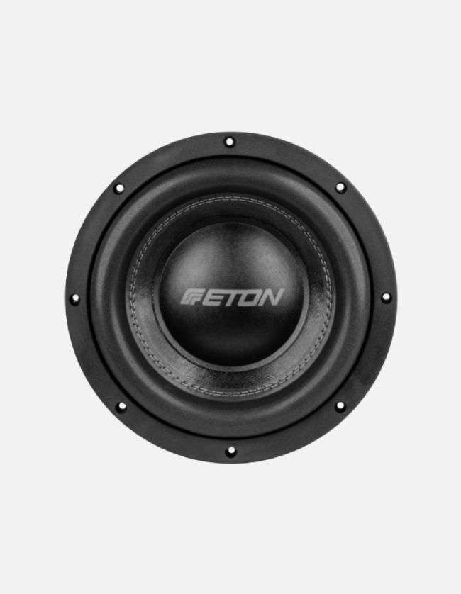 Eton MW10 10-Inch Subwoofer