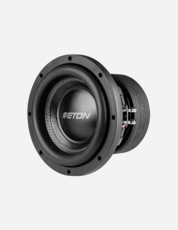 Eton MW10 10-Inch Subwoofer