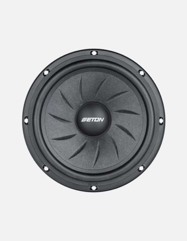 Eton PRA16 6.5-Inch Component Speakers