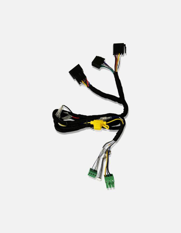 Eton ACCM2 2-Channel Amplifier Connection Cable for MICRO 120.2