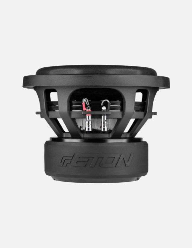 Eton MW10  10-Inch Subwoofer